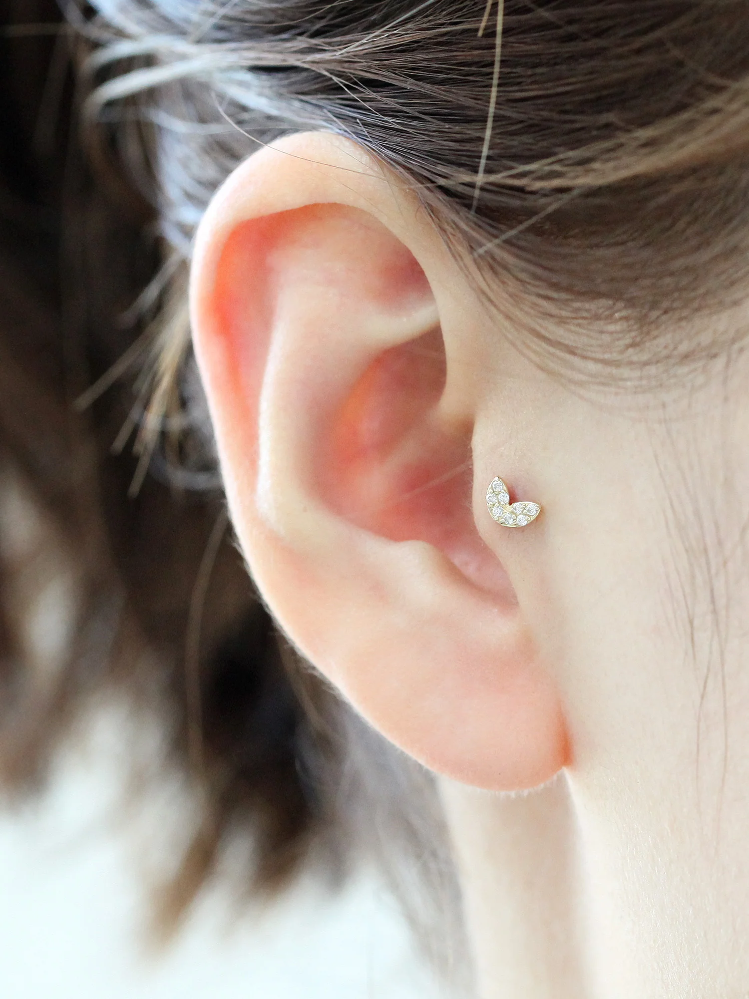 14K Gold Sprout Rook Piercing 18G16G - Image 5